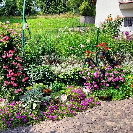La Cesura Bed & Breakfast Carano  Bagian luar foto