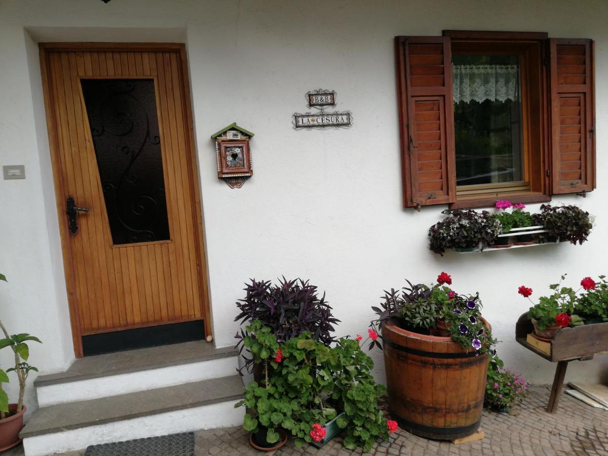 La Cesura Bed & Breakfast Carano  Bagian luar foto